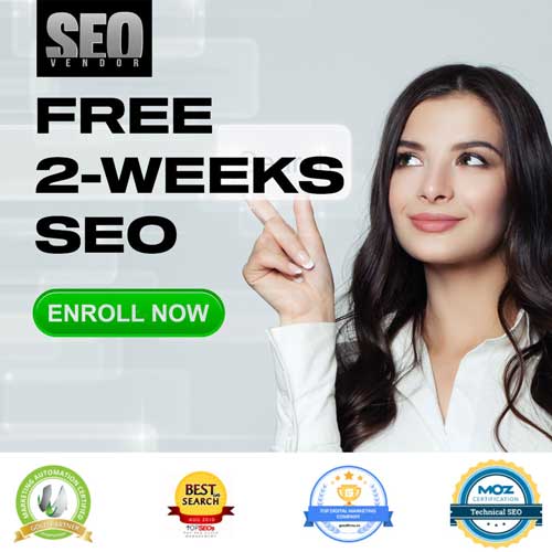 https://business.seovendor.co/wp-content/uploads/2022/10/free-2-weeks-seo.jpg